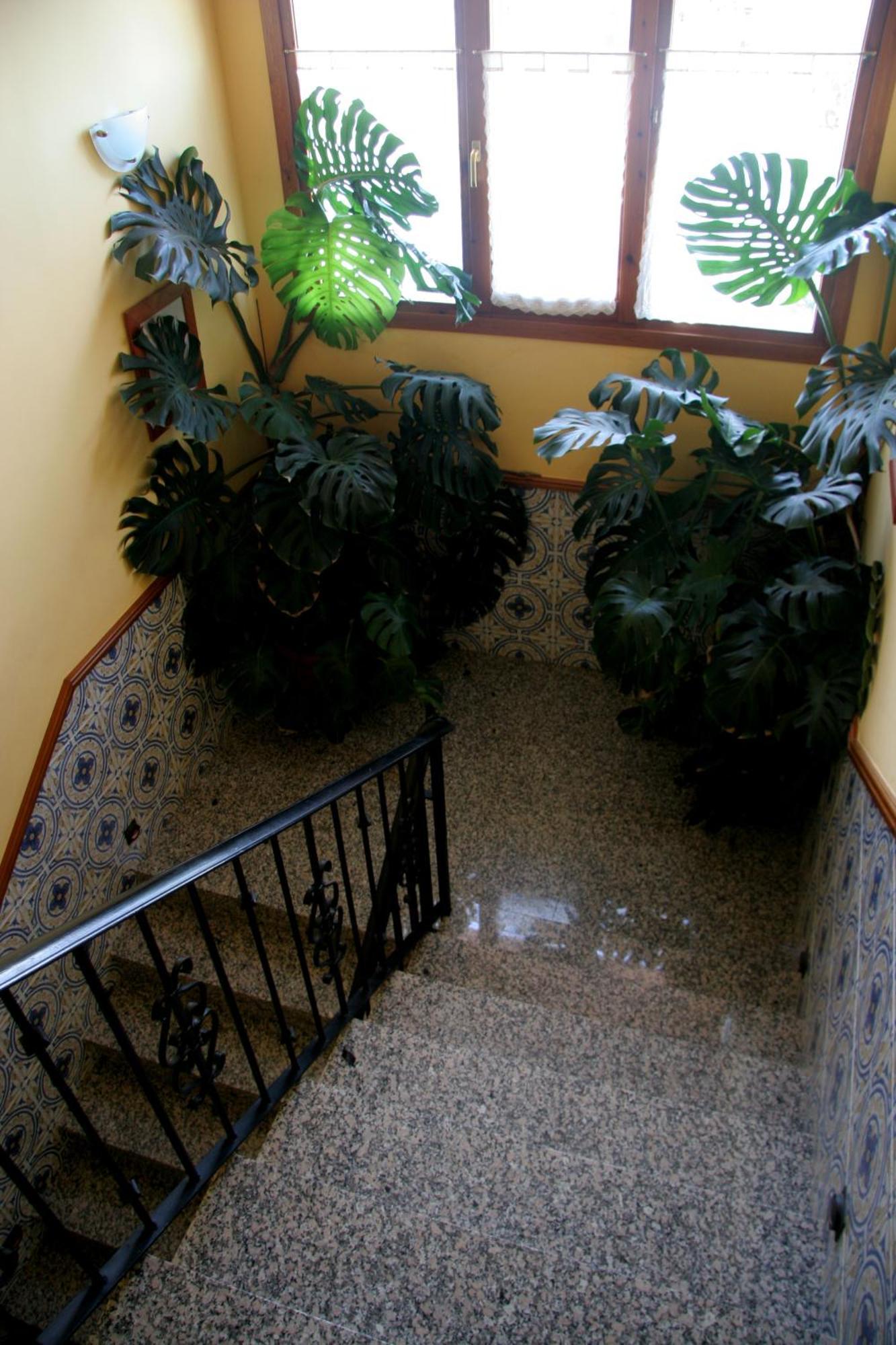 Hostal Casa Barranco Castejon del Puente ภายนอก รูปภาพ
