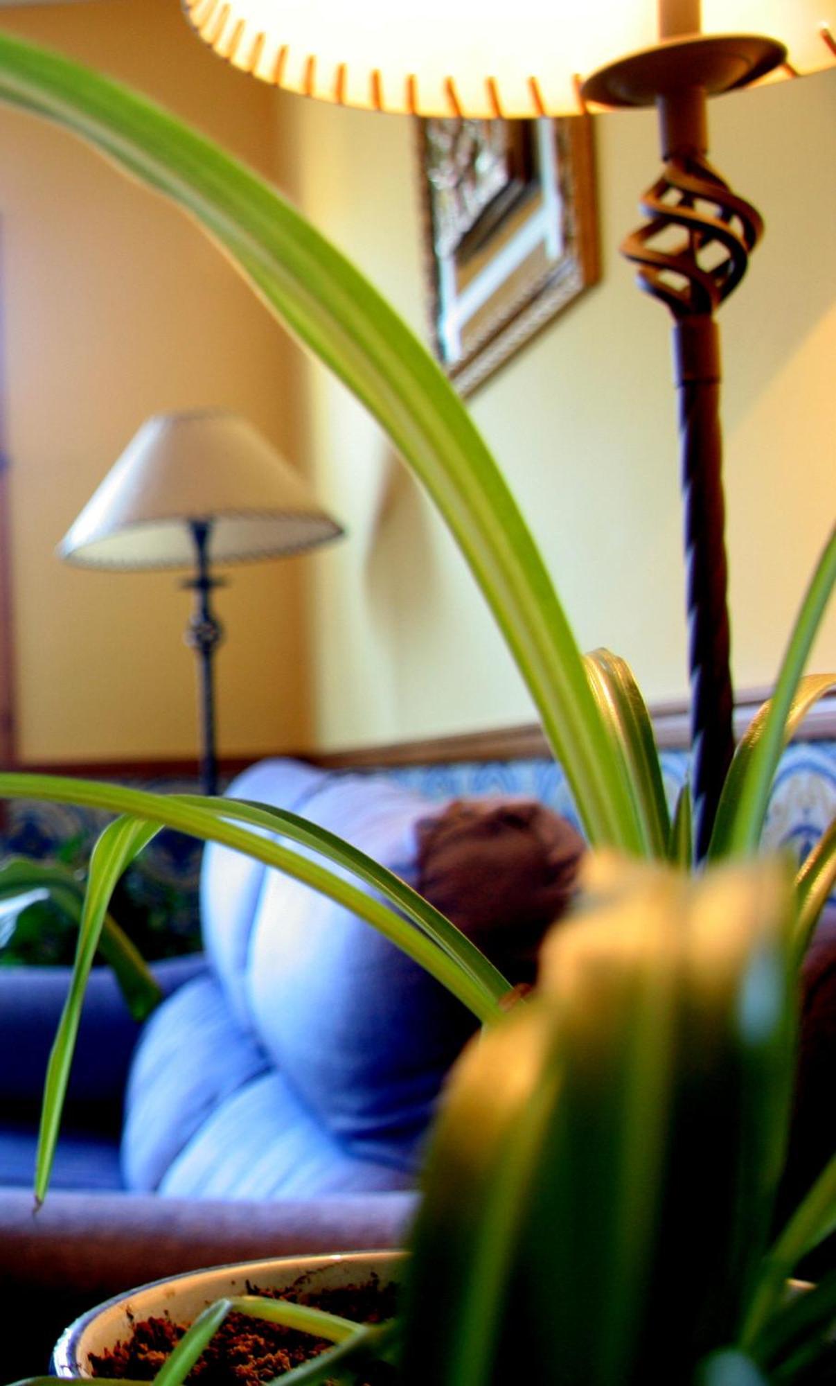 Hostal Casa Barranco Castejon del Puente ภายนอก รูปภาพ